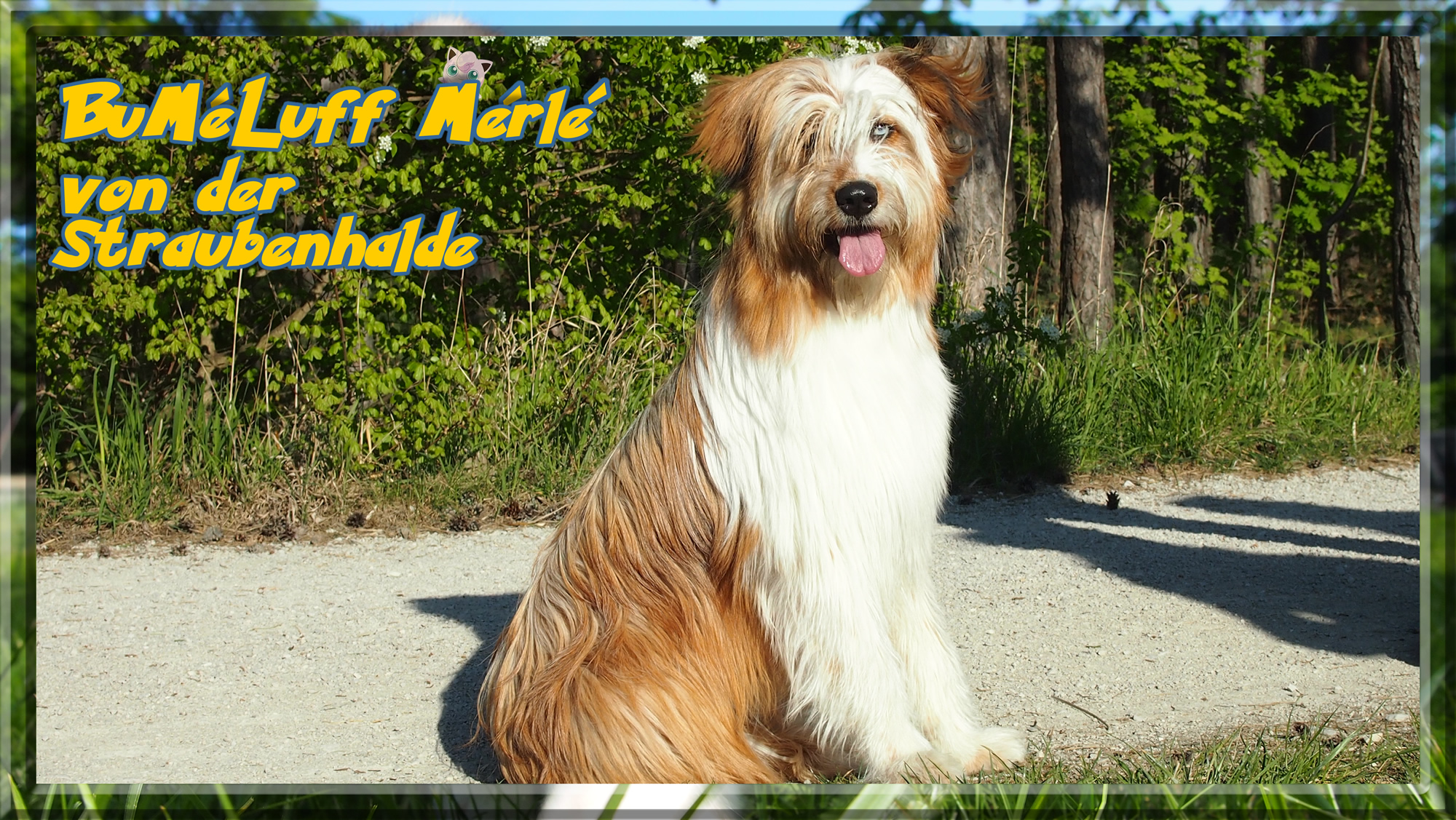 Wäller von der Straubenhalde